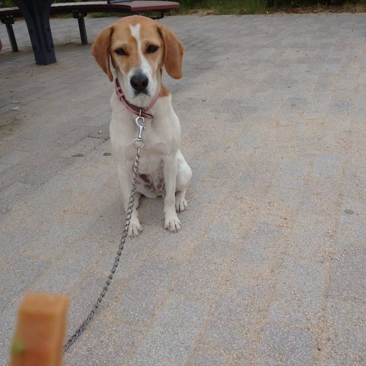 8fe1410d 58fa 4c32 b40b f0a33007ef88 1590467689764