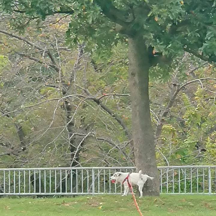 8fe14976 7d97 4bb2 bf22 c0b875be06d8 1542064991827