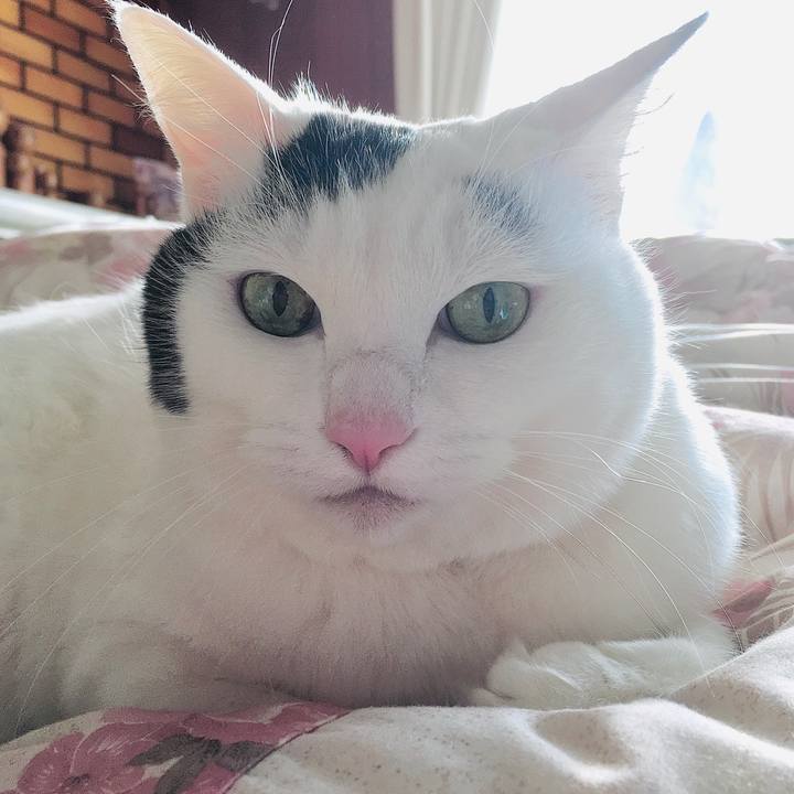 8fe15b83 65a7 423b a43f a16dc023c0eb 1579768883057