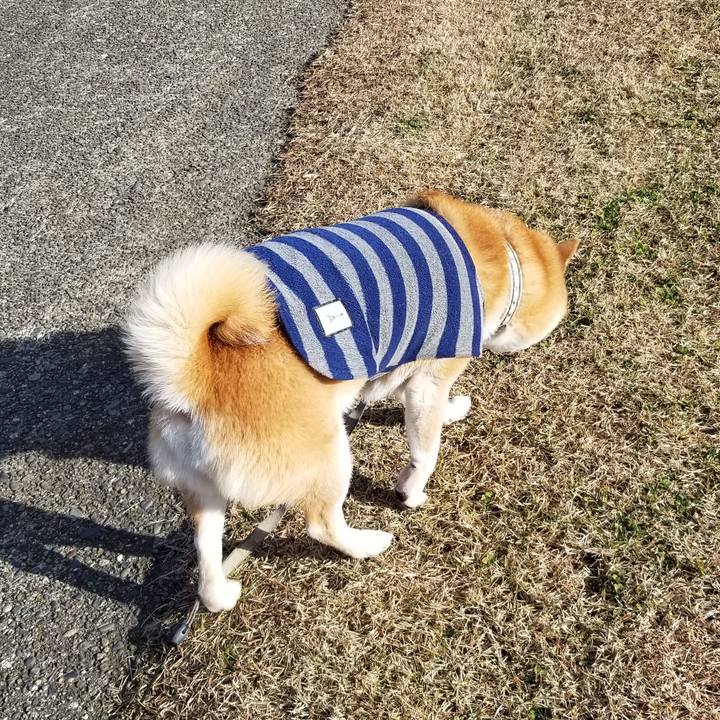 8fe1b571 dcd0 4fcf 9696 83f0cd06e207 1638335611631