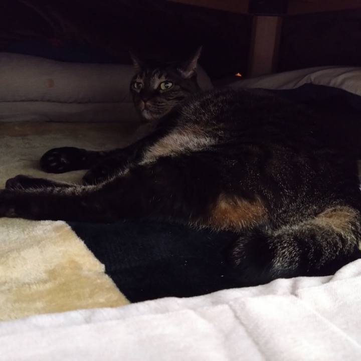 8fe224ef ae92 48d6 b217 e9017f88ee2d 1765113207670