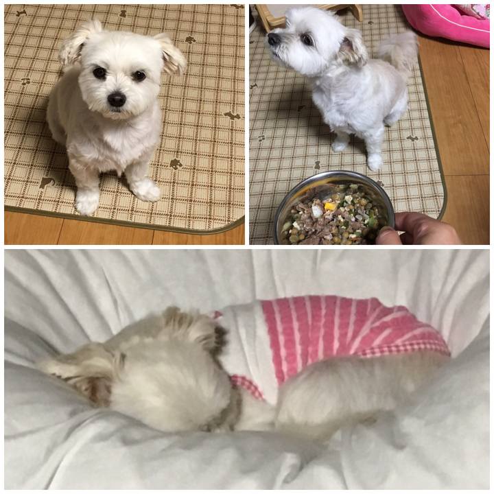 8fe24995 3098 47a7 929f bac38a77e09f 1539683652717