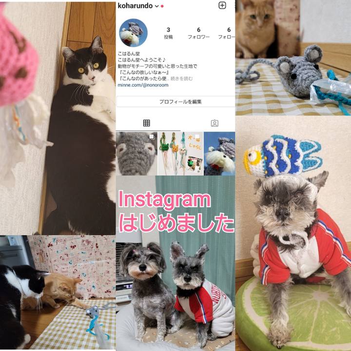 8fe2a805 6265 4210 87b9 0ed59889b702 1616106818013