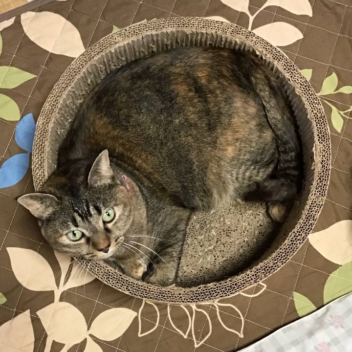 8fe2b767 e654 40b3 856b 8f0d5627ec04 1731812517539