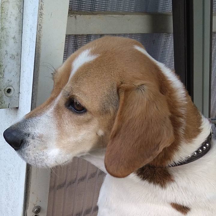 8fe2c316 f06c 4c13 8b64 b21d1a996ca1 1648216933183