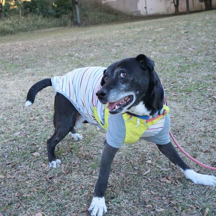 8fe2d77c 9319 42b8 9a5c 9e71eb8cdd2a 1769042896214