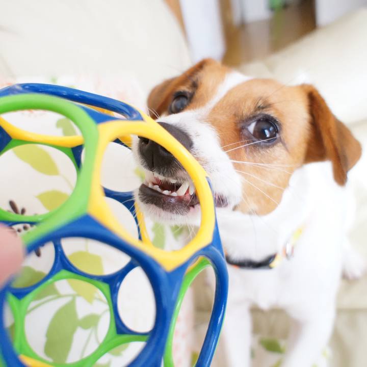 8fe2dc35 7b26 418d 9625 3e1572038c4d 1749046257232