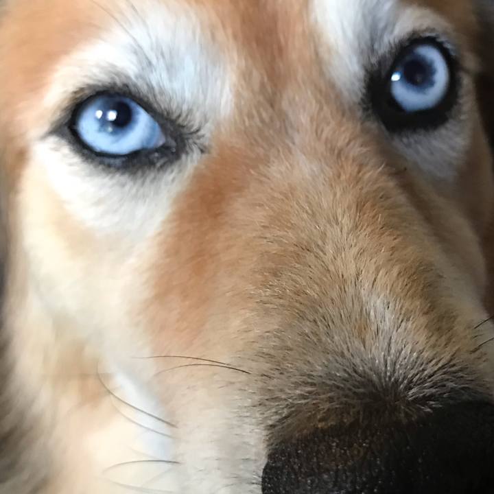 8fe2e43b 32c6 4e28 9450 f2c536e3cf0a 1570152018095