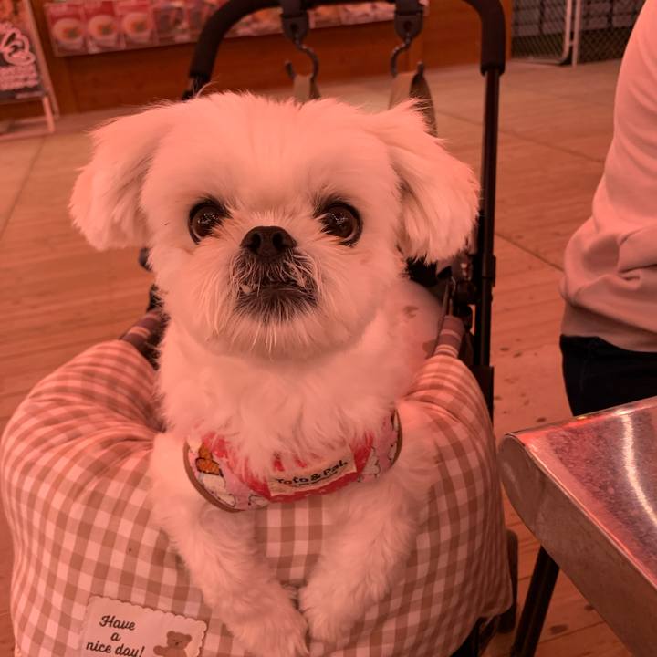 8fe315e2 b3dd 4d18 b4f2 7ffbc676cc3d 1716729954132