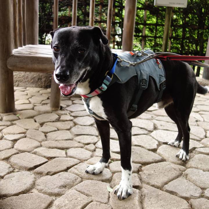 8fe37e22 c4ca 4d46 bf51 27c48956fd85 1745454163545