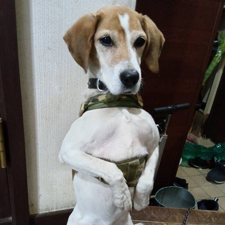 8fe392f2 a196 4cdc 8228 12216ed4042b 1736222692363