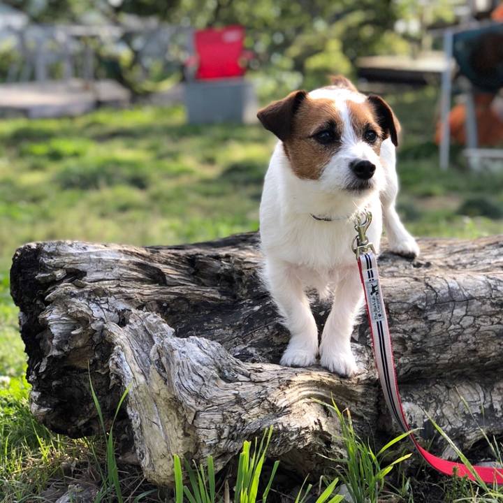 8fe39ecb 51b9 41f7 b8fe 9c657f7a001b 1526045952845