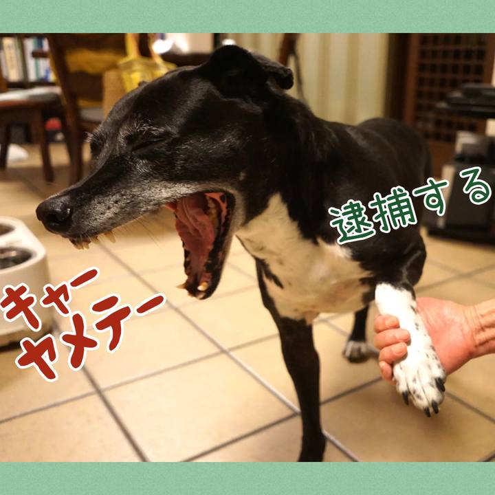 8fe3b76a c945 40e7 8119 a8e56766b645 1761736096662