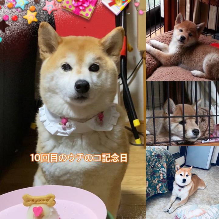 8fe3ba94 97d9 4d6f 97bb 91f440171ded 1680366963279