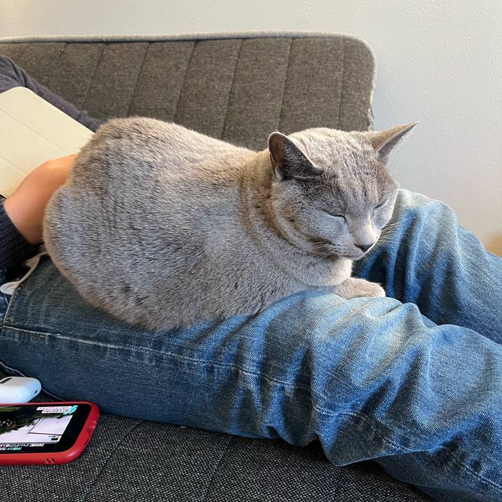 8fe3f377 db69 4a06 a682 9d082f58bc32 1767076584478