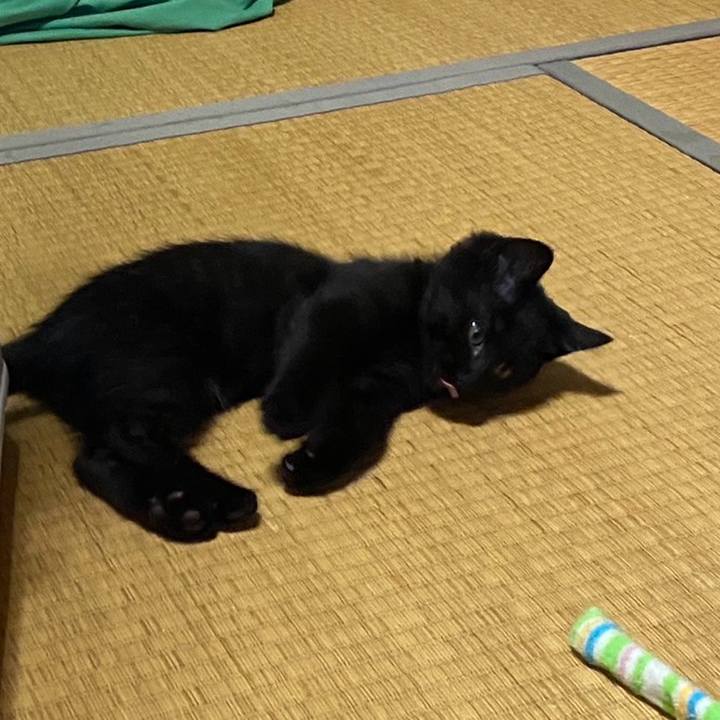 8fe4040a f835 4842 b69a afde0cdc7193 1763988576346