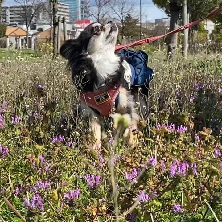 8fe46d30 df19 4f76 bf65 d786647a5f46 1615412281530