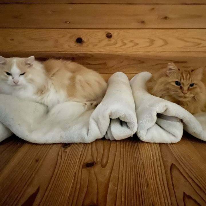 8fe47bc6 0de8 47b1 a25b 9c3bd9393445 1675370216738