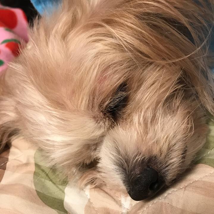 8fe4bc77 22e5 4991 bef0 c31157a5834f 1531416313434