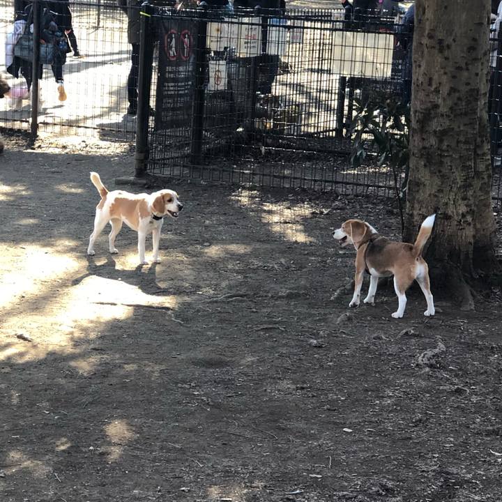 8fe4ee63 6915 4ce7 9130 55317464b0de 1580648350634