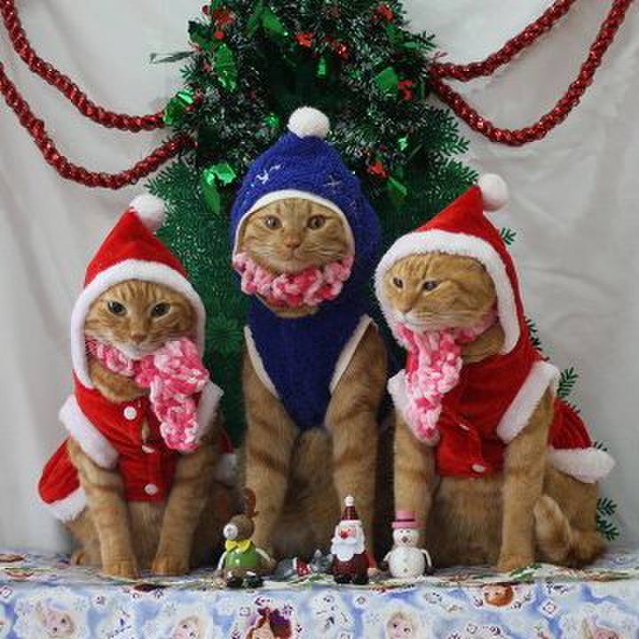 8fe4fd4b b357 4e95 b2ff d61de9b9338b 1577148539091