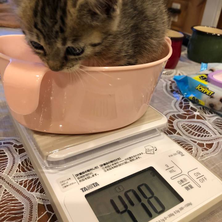 8fe5175b 8419 43d0 b665 5e86a3e544ce 1539785599609