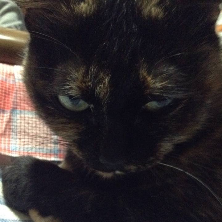 8fe5497a d683 4a5b b832 a5da7573a03a 1518609697540