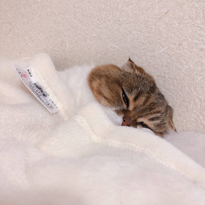 8fe55ae2 4079 4961 bc0a 505293b25bed 1589962229658