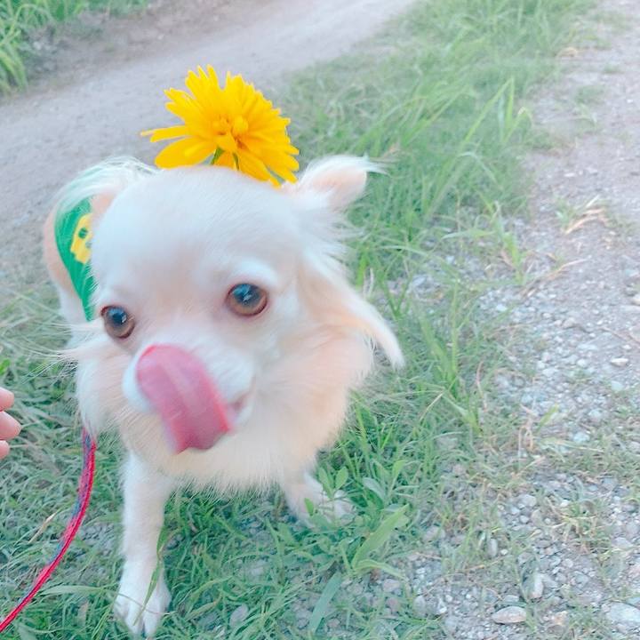 8fe560a8 a197 4c88 8da2 5f3a8bba0127 1627987718202