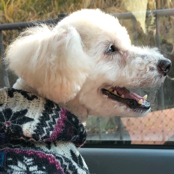 8fe567b0 f179 4713 9da4 cc2928643ab7 1545951349223