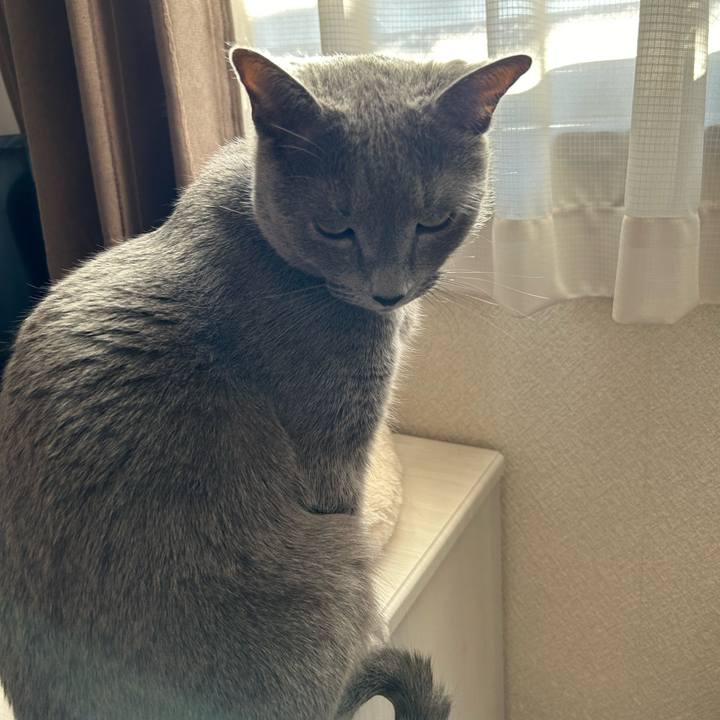 8fe5e10d 25ac 4d81 a5b6 8be6dbea6791 1706689160010