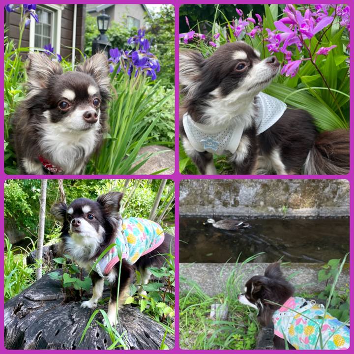 8fe5e4a7 db48 49f5 8d55 ba5fbb7912dd 1620471218192