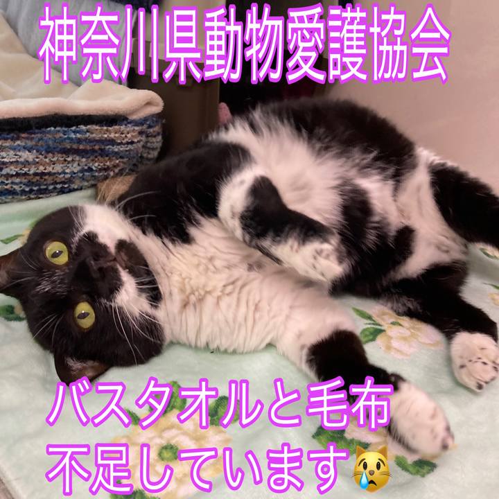 8fe5f0f7 c202 426c 9de1 7ec51956dca2 1715664372340