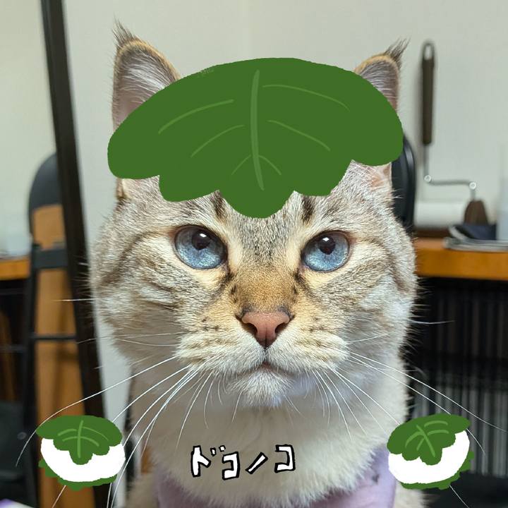 8fe667f9 38c9 44b5 82ea 08e0e73fc605 1749662349826