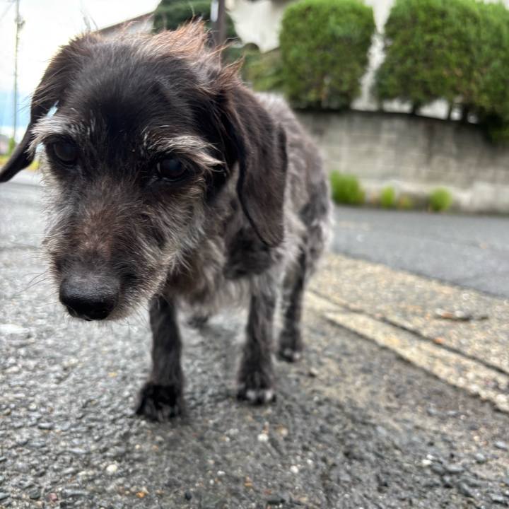 8fe69d50 a432 4939 a225 ba4bbc66ee19 1757547297815