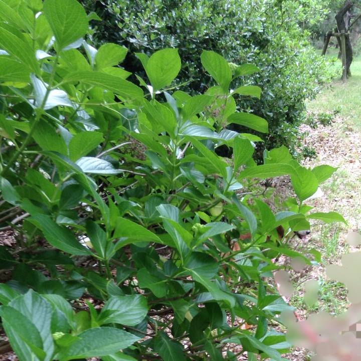 8fe6bb31 b33b 4640 9179 c3f6ca56ef19 1527667246715