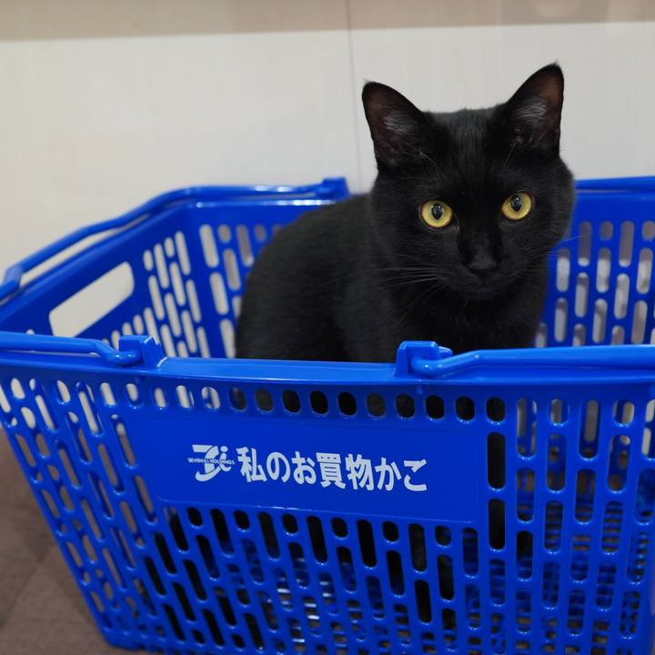 8fe6bd8d 7529 41e8 93c6 b46c8811d682 1592749719286