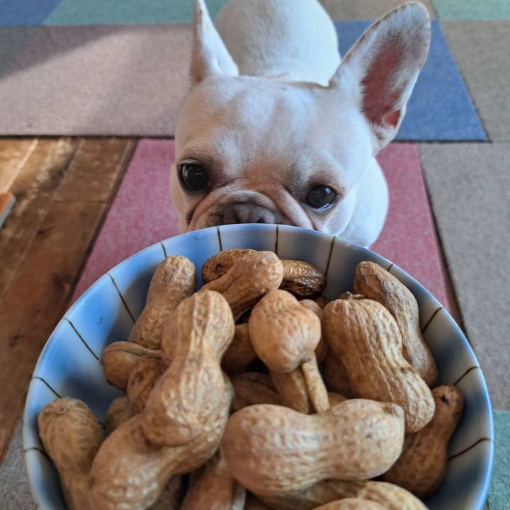 8fe76e94 2347 4333 9875 86e5d5e30635 1695797441309