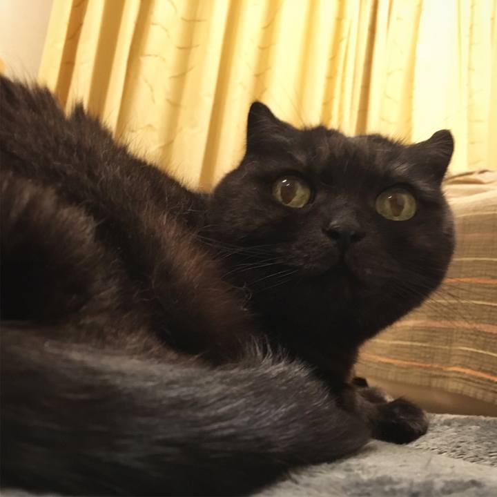 8fe78ab3 9e7b 444b 80b6 f8dddbeeef19 1552700516993