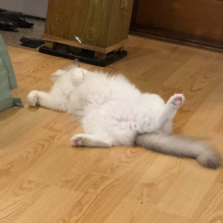 8fe78e79 4011 43a7 82dd 4aa08c10ff40 1568867974796