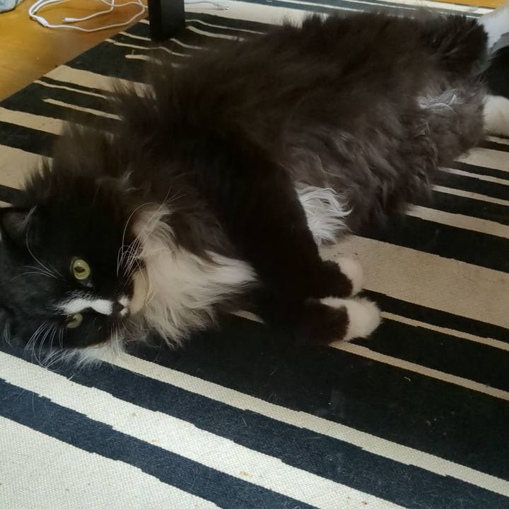 8fe7cf5c 296f 4495 a457 d6ac7784a3c3 1723690397537