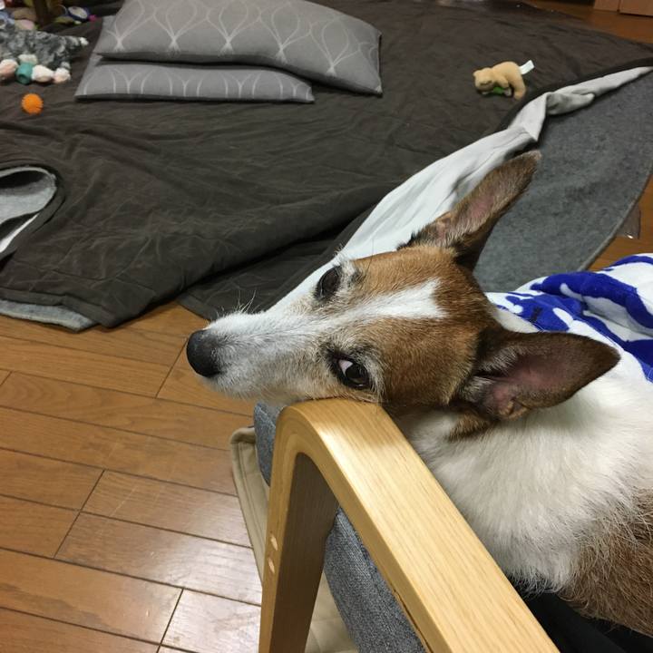 8fe7d2d0 095c 4950 8f0c 3a1a75163e46 1594768942755