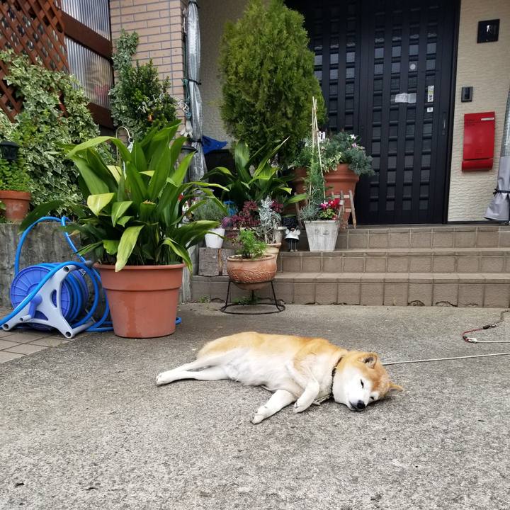 8fe84c5d 74ad 460b b235 b9dd962db863 1667001464373