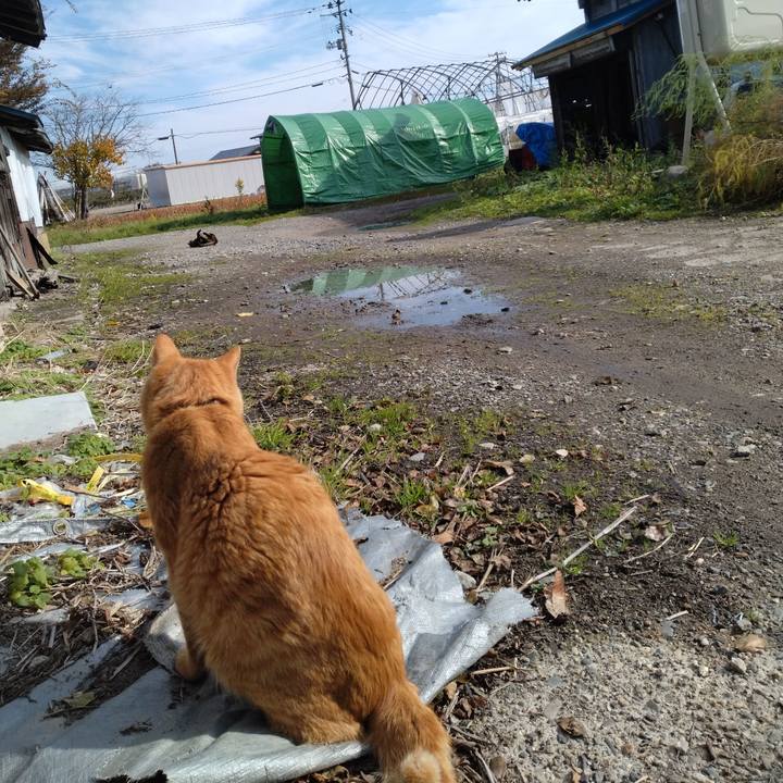 8fe85493 4df7 431f 8d0d a9b8826c2f13 1668051900370