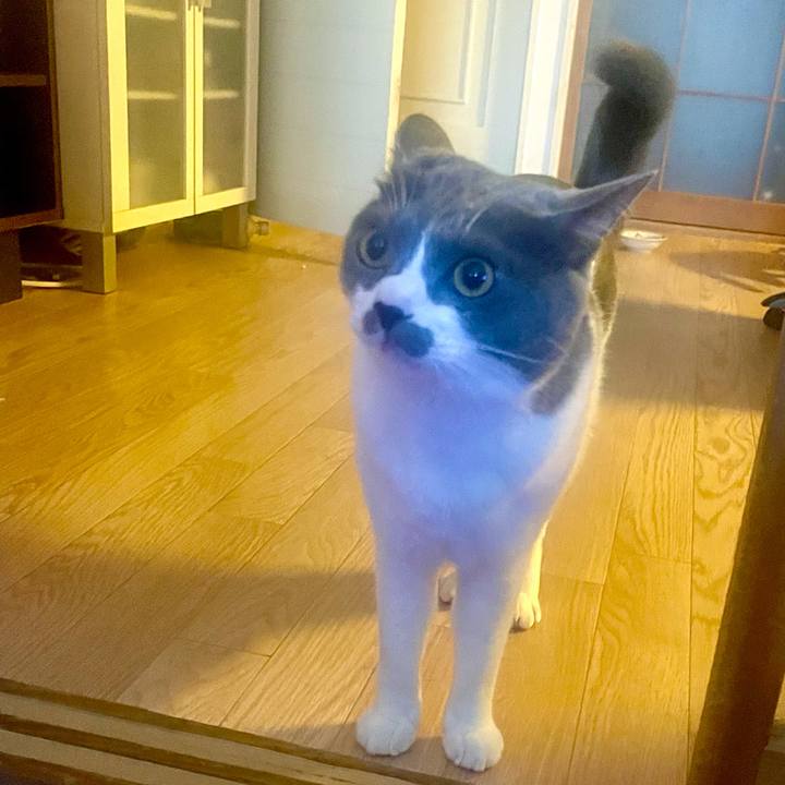 8fe85c24 fb46 4eb6 8023 db29efff4972 1628812222097