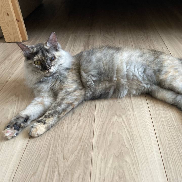 8fe8c912 12b0 4c19 9c8f 9eae97b9ac4e 1713057665419