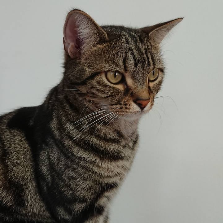 8fe90e39 b890 4023 a533 0a77bfb917ed 1546486890053