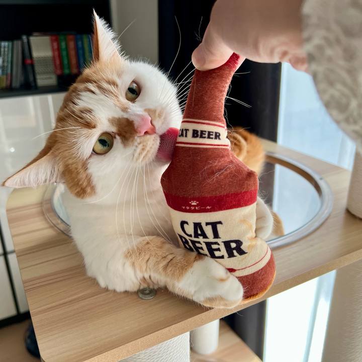 8fe9440c c2a3 461c 9c82 596e674cbcd2 1766460552488