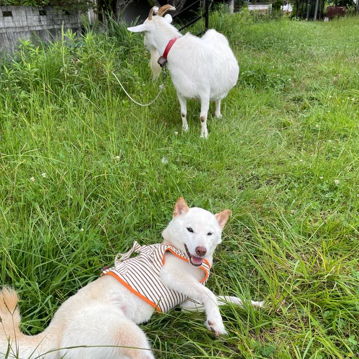 8fe97d21 e98e 42ff b3df 5d4b55b8a2c2 1655546677377