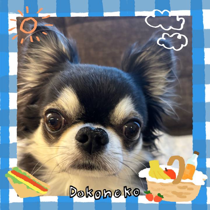 8fe98ce5 19c2 4876 a622 c0d09798fdb5 1744500825639